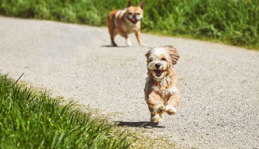 耳鼻科は小さなお子さまにとっては最悪の場所だよねえ。